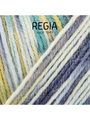 Regia Handstrickgarne 4-fädig Color, 100g in Lichterfest color