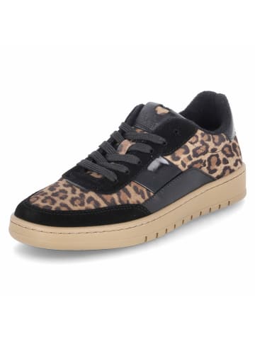 Bullboxer Schuh in black