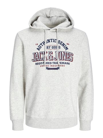 JACK & JONES PLUS Kapuzenpullover in White Melange