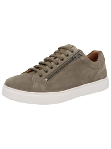 Solidus Sneaker für Herren in grün in grün