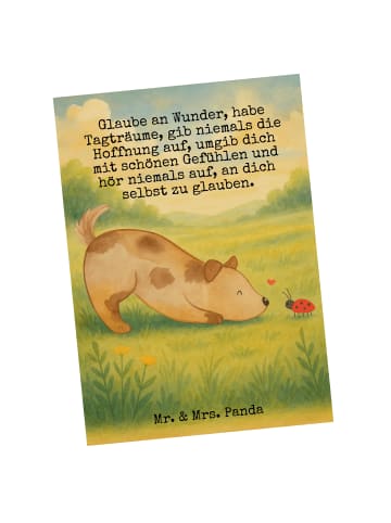 Mr. & Mrs. Panda Grußkarte Hund Marienkäfer Design mit Spruch in Weiß