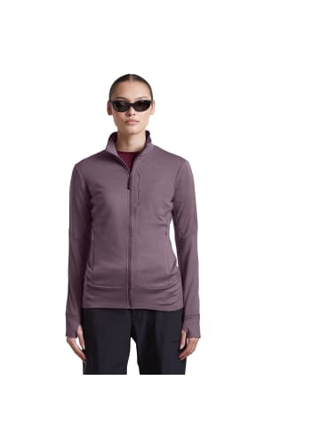 icebreaker Kleider Mer 260 Quantum IV LS Zip in Grau0659