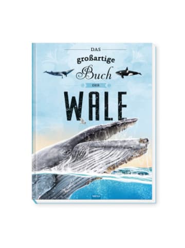 Trötsch Buch - Trötsch Kinderbuch Das großartige Buch der Wale