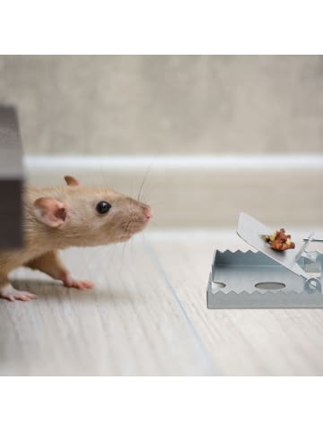 relaxdays 48x Rattenfalle in Silber