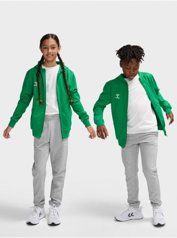 Hummel Reißverschluss Hmlgo Kinder in JELLY BEAN