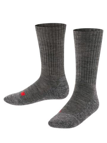 Falke Socken 1er Pack in Grau