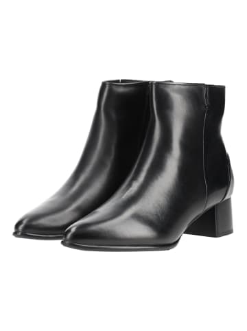 Everybody Stiefelette LUDINA in Schwarz