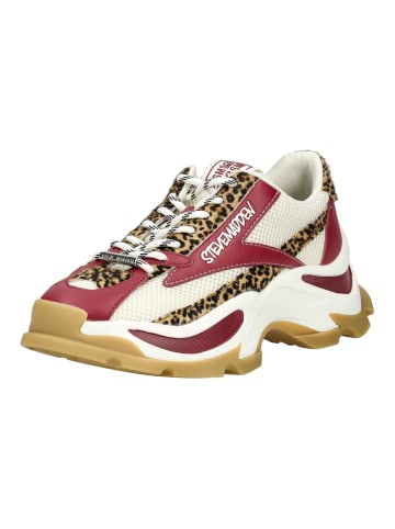 Steve Madden Sneaker in Weiß/Lila