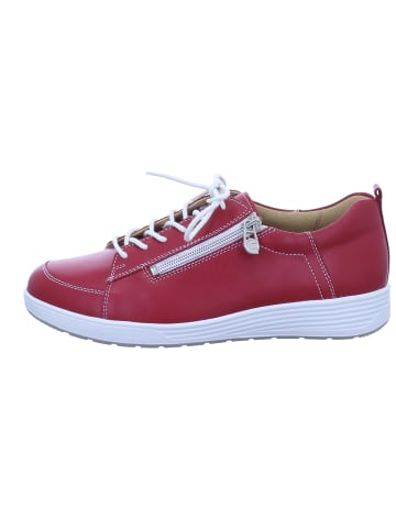 Ganter Sneaker Low in rot