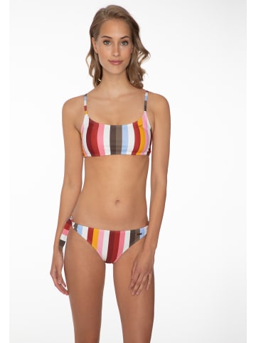 Protest " MM DYNAMIC in Clay