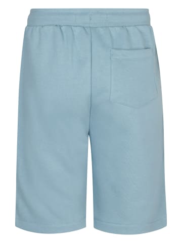 Petrol Industries Jogging-Shorts Alton in Blau