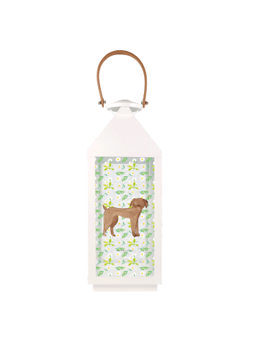 Mr. & Mrs. Panda Laterne Hund Dogge ohne Spruch in Transparent