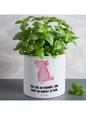 Mr. & Mrs. Panda XL Blumentopf Axolotl Niedlich mit Spruch in Weiß