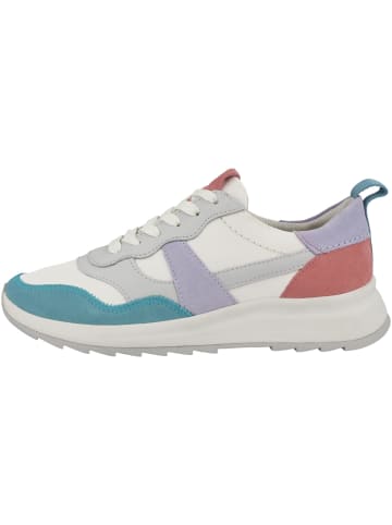 Clarks Sneaker low DashLite Jazz in lila