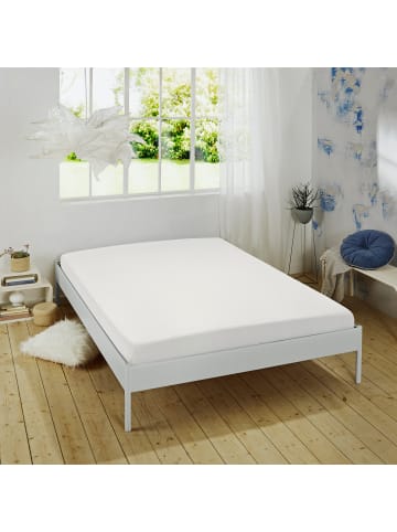 REDBEST Single-Jersey Spannbettlaken Denver in weiß