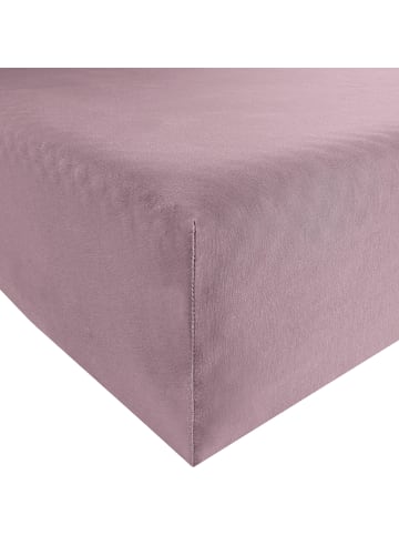 Erwin Müller Single-Jersey Spannbettlaken Freising in mauve