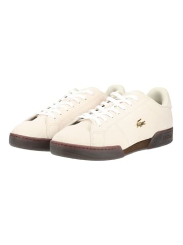 Lacoste Sneaker CARNABY CUP 226 7 SMA in Tan