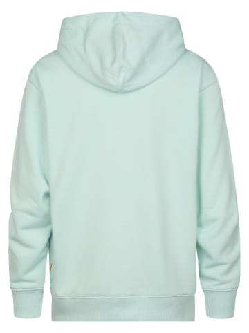 Petrol Industries Kapuzensweatshirt Ballena in Grün