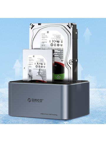 Orico 6656C3-C 5-Bay Dockingstation Offline Klon