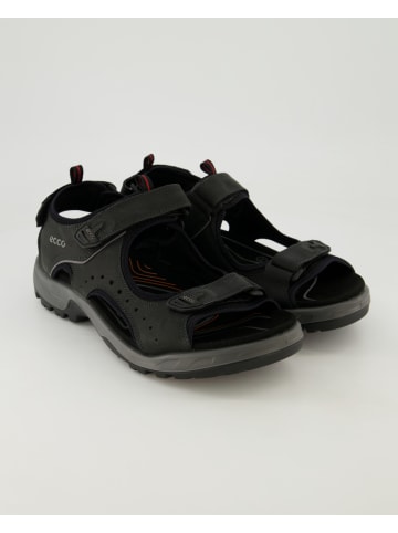 Ecco Sandalen & Pantoletten in Schwarz