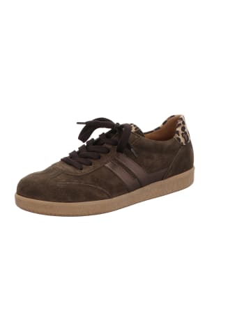 Gabor Sneaker Low in braun