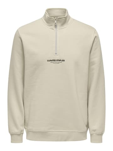 ONLY & SONS Sweatshirt in Silver Lining