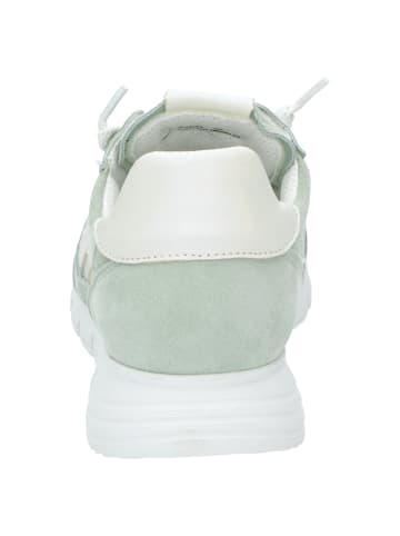 Sioux Sneaker Mokrunner-D-021 in hellgrün