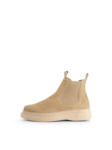 TRAVELIN' Howser in Sand