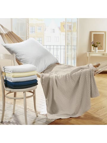 REDBEST Microfaser Sommerdecke 2er-Pack Detroit in taupe