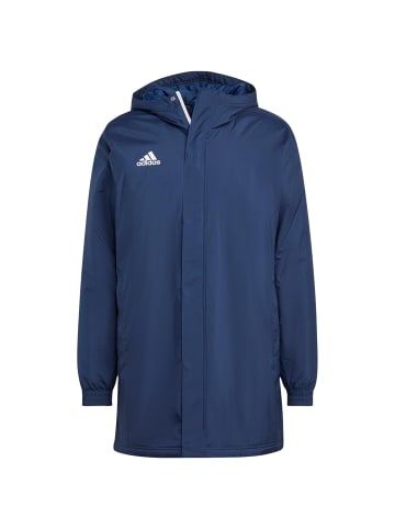 adidas Performance Winterjacke Entrada 22 in blau