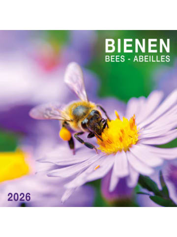 TUSHITA Kalender - Bienen 2026