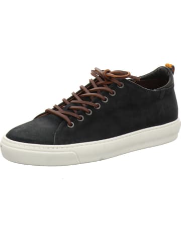Floris van Bommel Sneaker in schwarz