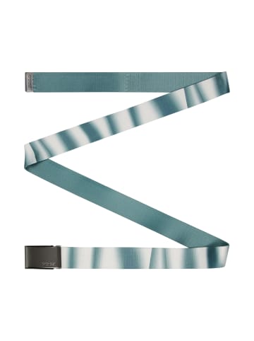 Protest " PRTMOUT in Evergreen