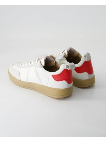SALAMANDER Sportliche Schnürschuhe in Grau
