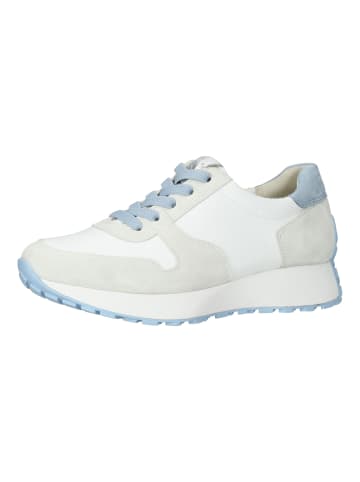 Paul Green Sneaker in Weiß/Blau