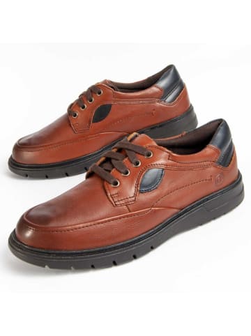 Purapiel Schnürschuhe Confore in Braun