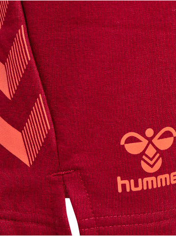 Hummel Hummel Kurze Hose Hmloffgrid Multisport Damen in RHUBARB/NASTURTIUM