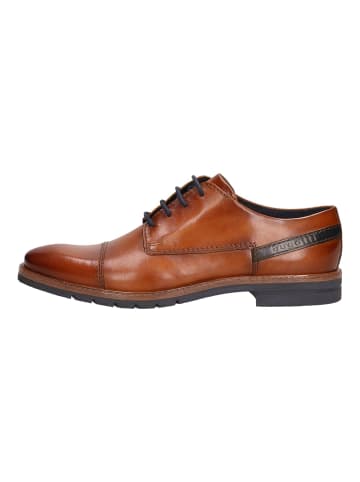 Bugatti Businessschuhe in Cognac
