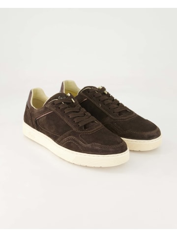 Sioux Sneaker low in Braun