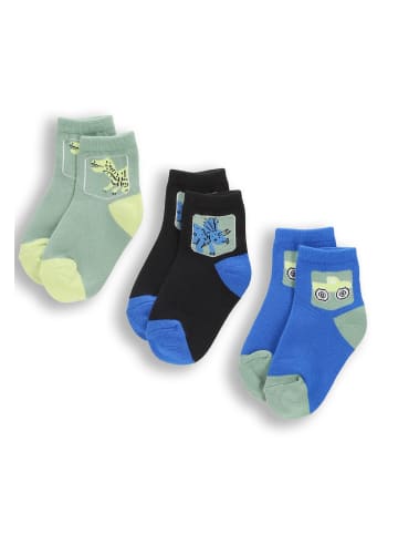 Coccodrillo Socken in bunt