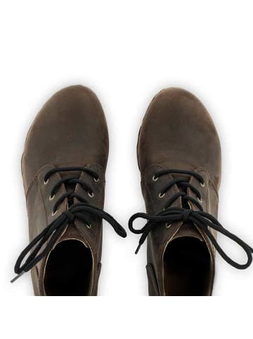 Stiefeletten/Boot in braun