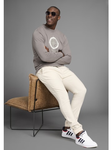 Delmao Sweatshirt in grau