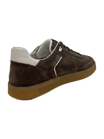 Sioux Sportliche Schnürschuhe in Grün