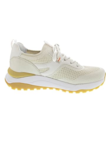 rieker Sneaker low Beige