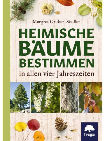 Freya Heimische Bäume bestimmen | in allen vier Jahreszeiten