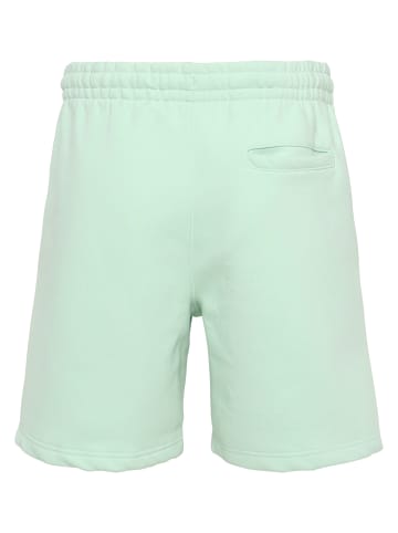Sergio Tacchini Shorts - undefined in birds egg green