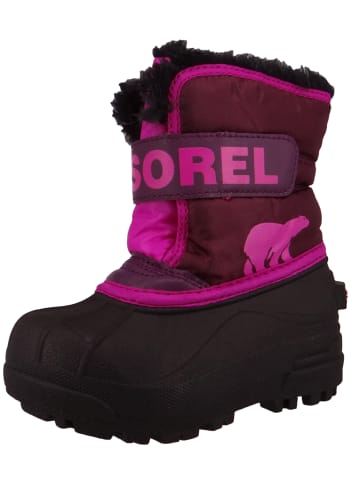 Sorel Stiefel violet