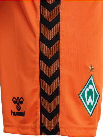 Hummel Hummel Kurze Hose Wer 23/24 Fußball Erwachsene Schnelltrocknend in ORANGE TIGER