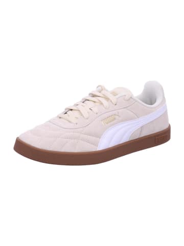 Puma Schnürschuhe Puma Club II Indoor SD in Beige