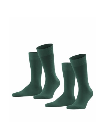 Falke Socken 2er Pack in Dunkelgrün